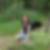 Photo de profil de Eliane Olivier