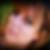 Photo de profil de Agnes Bouvier