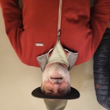 Photo de profil de Dominique Peclier