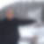 Photo de profil de Pierre Barnier