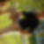 Photo de profil de Patrick Lamour