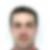 Photo de profil de Paulo de Carvalho