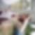 Photo de profil de Marie Bertho