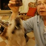 Photo de profil de Patricia Penez