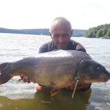 Photo de profil de Leclercq Regis