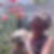 Photo de profil de Deparis Marie-Helene
