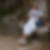 Photo de profil de Robert William