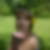 Photo de profil de Marie Gwenaelle Bouchey