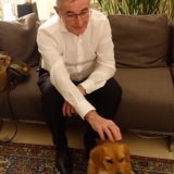 Photo de profil de Gerard Levy