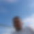 Photo de profil de Christophe Gibert