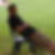 Photo de profil de Vincent Christophe