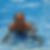 Photo de profil de Ricardo Pereira