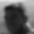 Photo de profil de Herve Bertrand