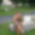Photo de profil de Bernadette Laumonnier