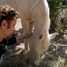 Photo de profil de Laurent Morel