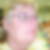 Photo de profil de Yolande Launoy