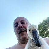 Photo de profil de Jean-luc Lemaire