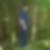 Photo de profil de Frederic Philippe