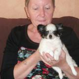 Photo de profil de Jocelyne Jacquot