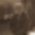 Photo de profil de Christian Vignal
