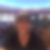 Photo de profil de Coll Laurence