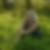 Photo de profil de Jocelyne Lelong