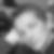 Photo de profil de Bernard Lambin