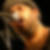 Photo de profil de Xavier Paulin
