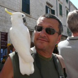 Photo de profil de Dominique Lahousse