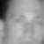 Photo de profil de Stephane Lombardi