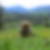 Photo de profil de Roselyne Millet