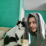 Photo de profil de Abdelkader Sabeur Mazouz