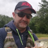 Photo de profil de Stephane Roy