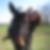 Photo de profil de Claire Duriez