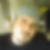 Photo de profil de Farid Moussaoui