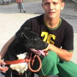 Photo de profil de Jordan Roussillo