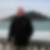 Photo de profil de Gérard Tellier Audoux