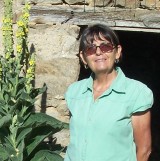 Photo de profil de Yvette Redon