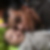 Photo de profil de Olivier Linard