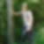 Photo de profil de Christohe Perrier