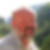 Photo de profil de Armand Lavenant