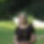 Photo de profil de Catherine Chouraqui