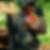 Photo de profil de Vincent Brosse