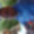 Photo de profil de Lionel Picard