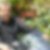 Photo de profil de Michel Monti