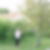 Photo de profil de Marie Claude Thomas