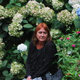 Photo de profil de Patricia Vincent
