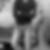 Photo de profil de Fouad Abouhamda