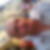 Photo de profil de Frederic Daude