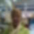 Photo de profil de Sandrine Robert